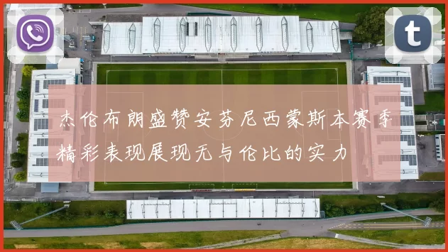 杰伦布朗盛赞安芬尼西蒙斯本赛季精彩表现展现无与伦比的实力
