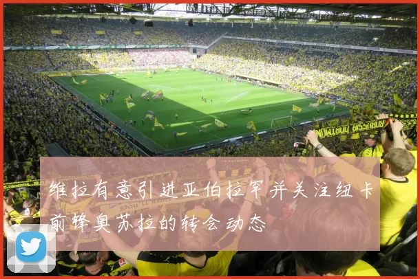 维拉有意引进亚伯拉罕并关注纽卡前锋奥苏拉的转会动态