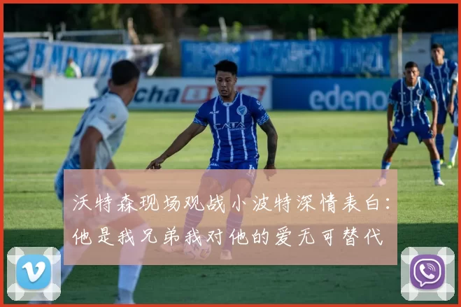 沃特森现场观战小波特深情表白：他是我兄弟我对他的爱无可替代
